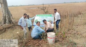 काराकाट